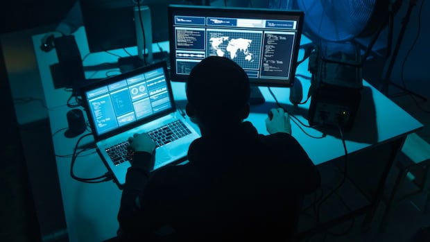 cybertitan-camp-aims-to-teach-pei.-students-digital-literacy-and-cybersecurity