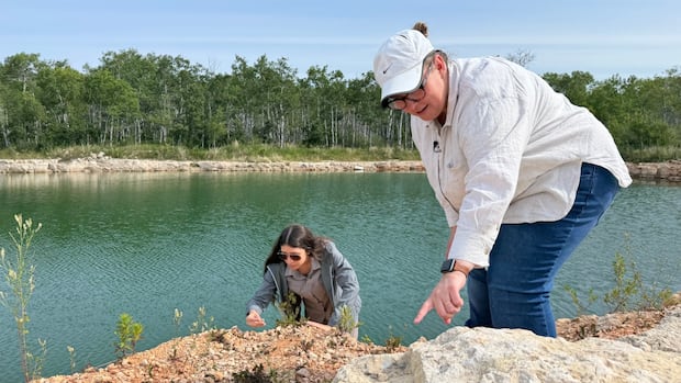 move-over,-jurassic-park.-manitoba-was-home-to-newly-discovered-390-million-year-old-extinct-fish