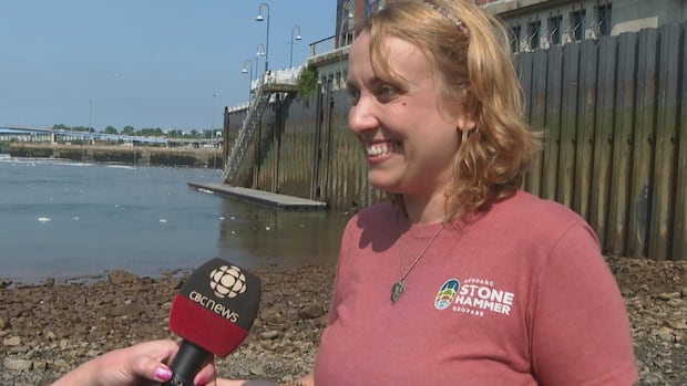 how-climate-change-in-the-last-ice-age-created-the-bay-of-fundy-tides
