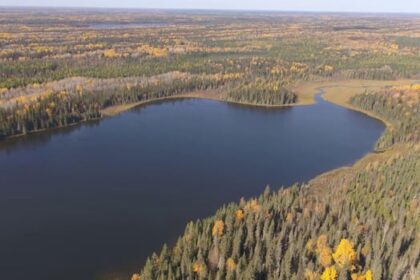 wildfires-send-canada’s-carbon-emissions-soaring.-and-our-peatlands-emit-even-more