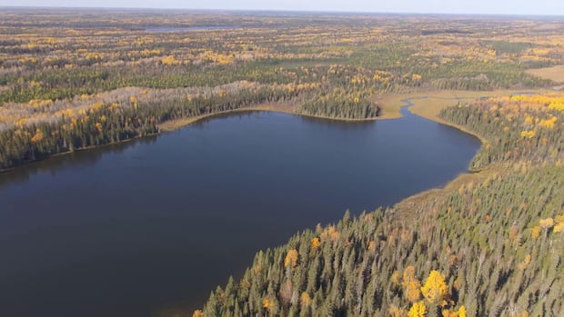 wildfires-send-canada’s-carbon-emissions-soaring.-and-our-peatlands-emit-even-more