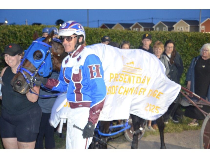 chris-mackay-trained-miki-shan-n-adapting-to-life-in-pei.-quite-well-in-kensington