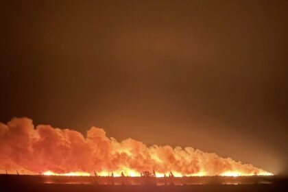 developing-musgrave-harbour-residents-ordered-to-evacuate-as-wildfire-approaches-town