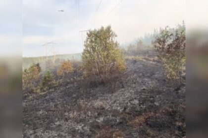 cape-breton-fire-officials-say-wildfire-is-no-longer-growing