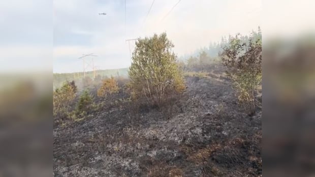 cape-breton-fire-officials-say-wildfire-is-no-longer-growing