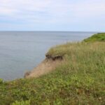 autistic-child-dies-after-wandering-from-cape-breton-home