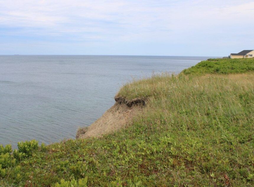 autistic-child-dies-after-wandering-from-cape-breton-home