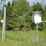 pei.-precipitation-no-longer-in-the-range-considered-acid-rain
