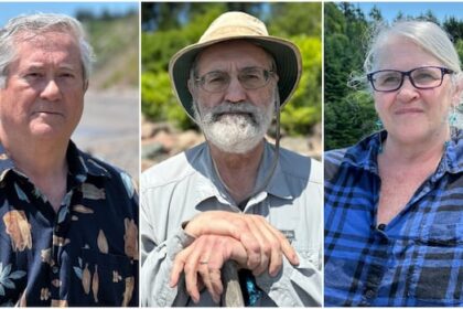their-neighbours-changed-the-coastline-and-they-want-it-fixed