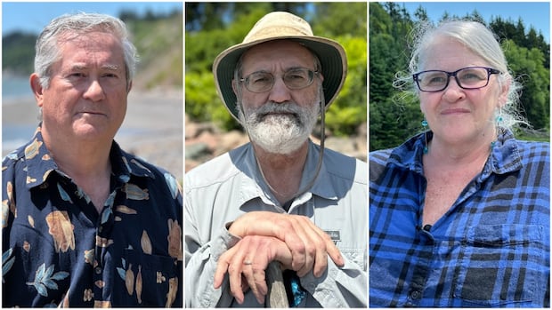 their-neighbours-changed-the-coastline-and-they-want-it-fixed