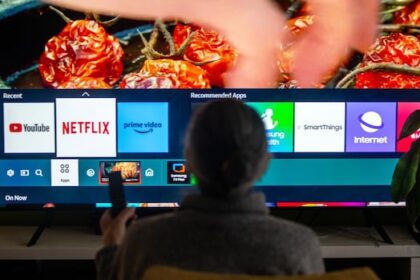government-blocked-streaming-sites-for-public-servants-as-a-‘people-management-issue,’-documents-show