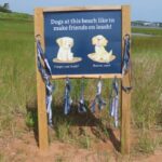 leash-libraries-roll-out-at-4-pei.-beaches,-to-encourage-bird-protecting-behaviour