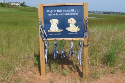 leash-libraries-roll-out-at-4-pei.-beaches,-to-encourage-bird-protecting-behaviour