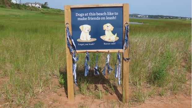 leash-libraries-roll-out-at-4-pei.-beaches,-to-encourage-bird-protecting-behaviour