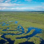how-wildfires-are-disrupting-traplines-and-raising-questions-in-northwest-sask.