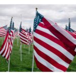 gwynne-dyer:-how-did-trump-become-the-least-bad-outcome?