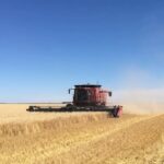 sask.-agristability-program-bumps-up-compensation-rate-to-combat-tariffs,-drought