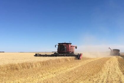 sask.-agristability-program-bumps-up-compensation-rate-to-combat-tariffs,-drought