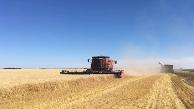 sask.-agristability-program-bumps-up-compensation-rate-to-combat-tariffs,-drought