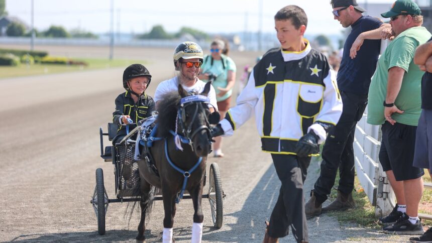 small-harness-racers-are-drawing-a-big-reaction-at-maritime-tracks