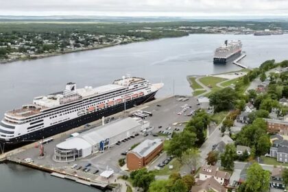 school-bus-enlisted-temporarily-to-help-move-sydney-cruise-ship-passengers