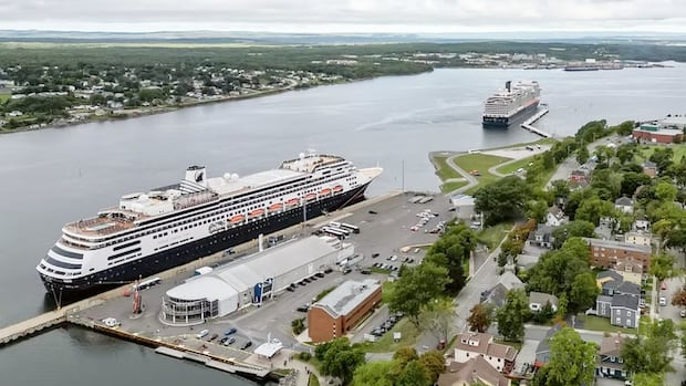 school-bus-enlisted-temporarily-to-help-move-sydney-cruise-ship-passengers
