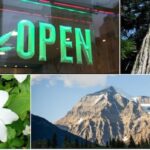 search-for-bc.’s-best-symbol:-round-2-nature