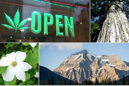 search-for-bc.’s-best-symbol:-round-2-nature