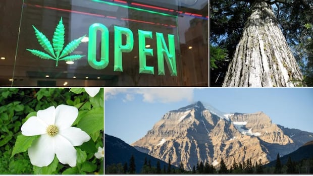 search-for-bc.’s-best-symbol:-round-2-nature
