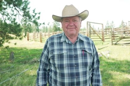 prime-grazing-land-owned-by-province-sitting-unused,-east-kootenay-cattle-ranchers-say