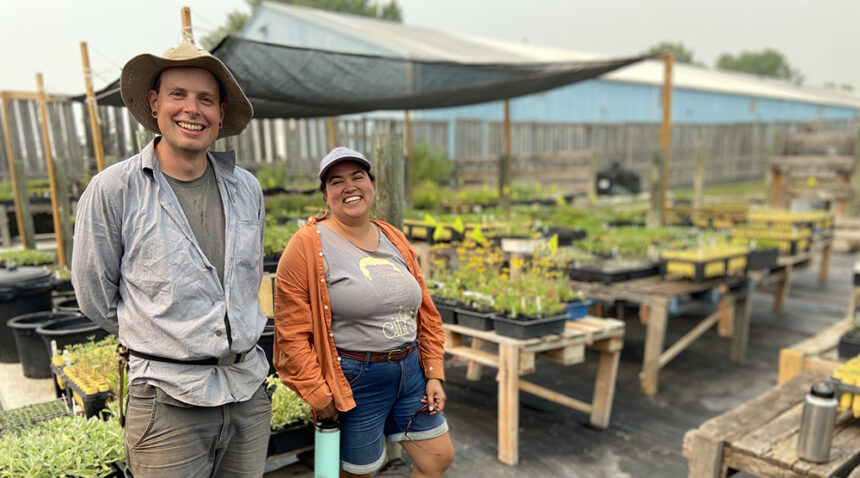alclas-conservation-work-with-native-plants-and-reciprocal-relationships