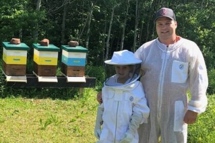 2025-shaping-up-to-be-a-good-year-for-pei.-honey-producers,-with-fewer-bees-dying-off