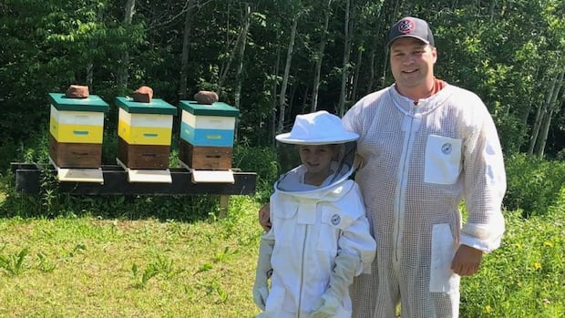 2025-shaping-up-to-be-a-good-year-for-pei.-honey-producers,-with-fewer-bees-dying-off