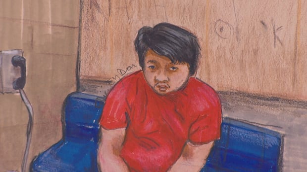 3-more-murder-charges-laid-against-suspect-in-lapu-lapu-day-vancouver-festival-tragedy