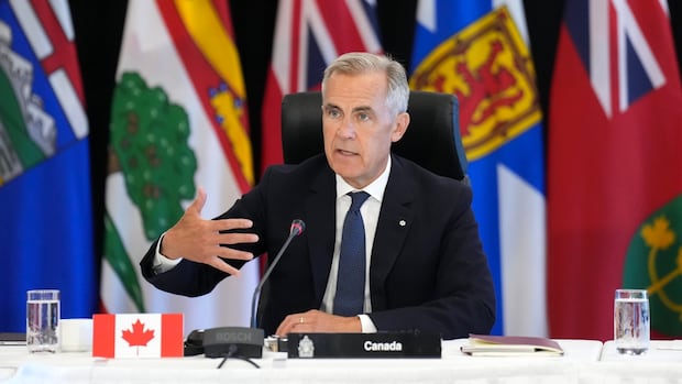 carney-tells-premiers-he’ll-only-sign-a-us.-trade-deal-‘in-the-best-interest-of-canadians’