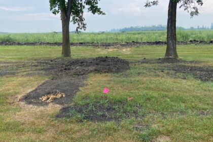 ww-ii-veteran’s-grave-found-empty-after-daughter-hoped-to-relocate-burial-site