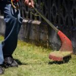 some-vacant-lots-remain-overgrown-as-winnipeg-enforces-grass-length-bylaw