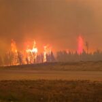 trappers-left-out-of-aid-program-following-sask.-wildfires