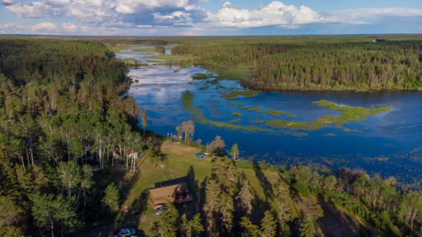 only-10%-is-left:-wildfires-devastate-proposed-indigenous-protected-area
