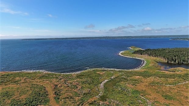 renewable-energy-megaproject-on-eastern-shore-prepares-for-environmental-assessment