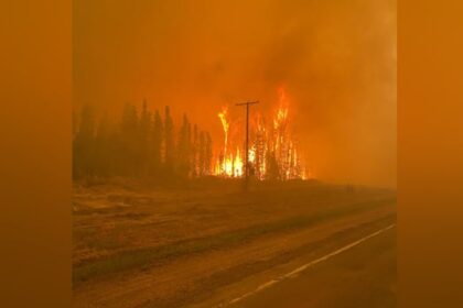 saskatchewan-asks-for-federal-help-to-fight-wildfires