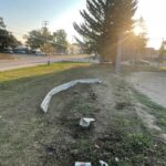 watchdog-clears-saskatoon-officers-in-arrest-where-police-dog-seriously-injured-man