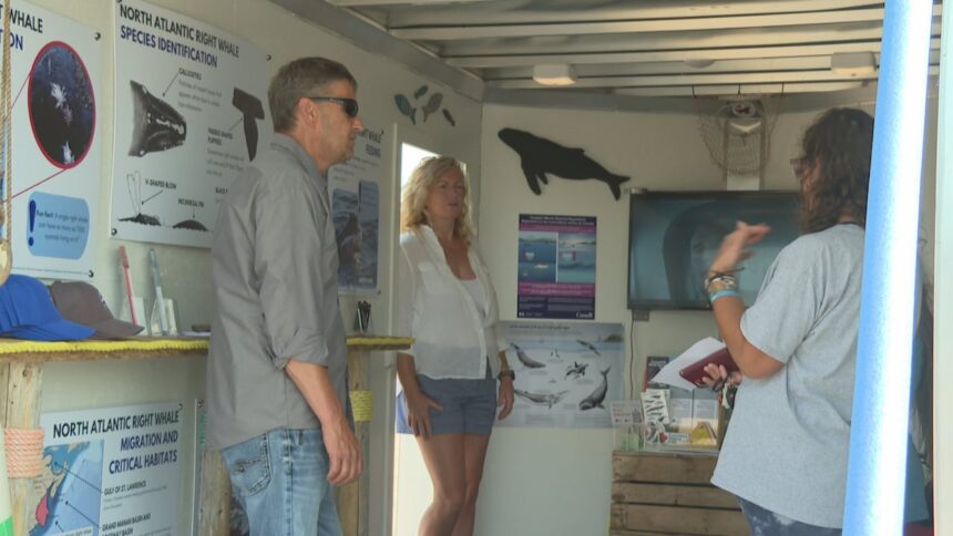 whale-experts-teaching-pei.-fishermen-how-to-help-protect-the-‘magnificent-creatures’