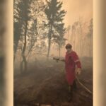 more-research-needed-on-wildfire-smoke-toxicity,-scientists-say-as-they-warn-of-pollution-‘time-bomb’