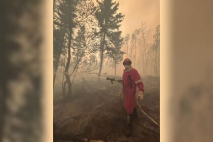 more-research-needed-on-wildfire-smoke-toxicity,-scientists-say-as-they-warn-of-pollution-‘time-bomb’