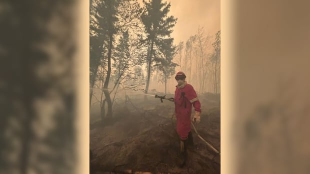 more-research-needed-on-wildfire-smoke-toxicity,-scientists-say-as-they-warn-of-pollution-‘time-bomb’