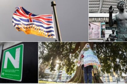 search-for-bc.’s-best-symbol:-round-2-provincial