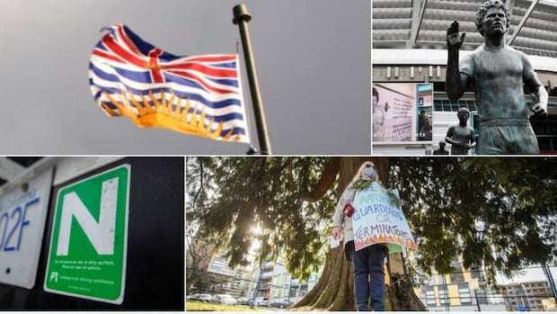 search-for-bc.’s-best-symbol:-round-2-provincial