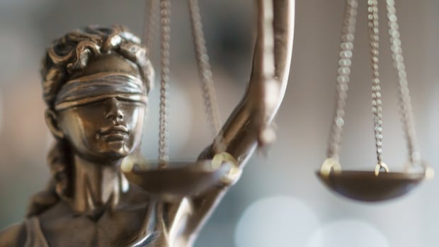 man-pleads-guilty-to-crosswalk-collision-that-killed-dalhousie-student-in-halifax
