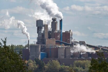 nova-scotia-waiting-on-cleanup-plan-from-northern-pulp-for-defunct-mill